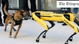 How killer robot dogs could become weapons of mass destruction