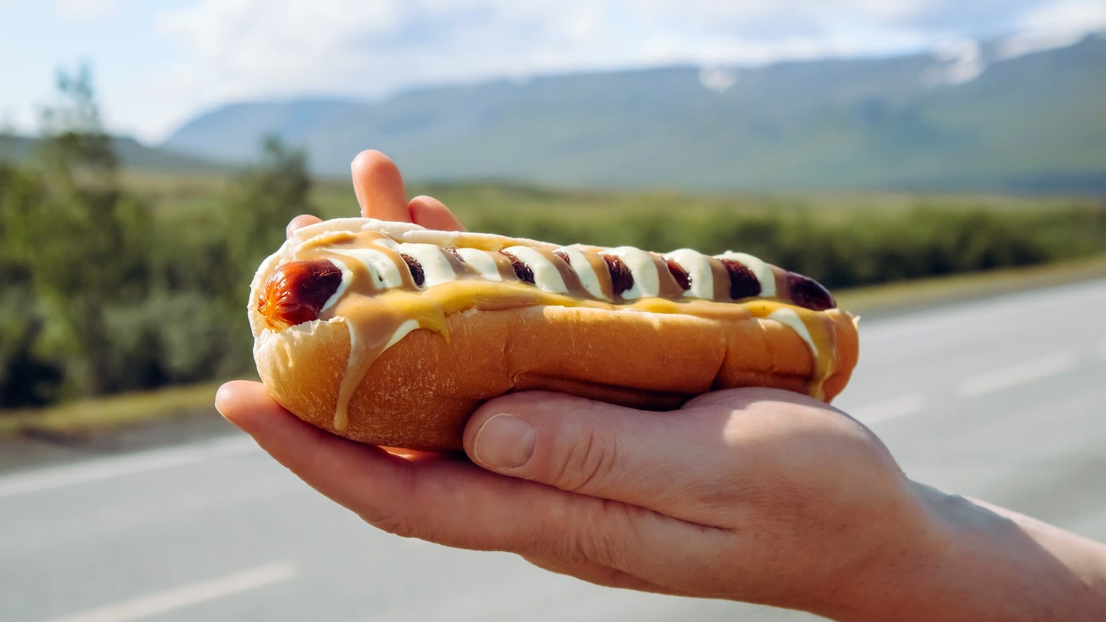 What Makes Icelandic Hot Dogs Unique