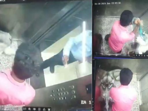 Disturbing Video: Dog Walker Lifts Husky By Leash, Thrashes It On Floor Inside Gurgaon Society Elevator