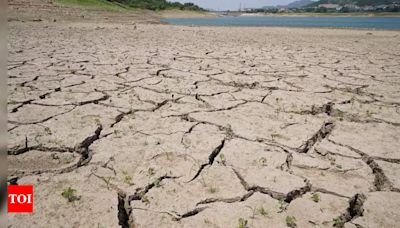 Central China farmers face crop failures in 'withering' drought - Times of India