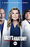 Grey's Anatomy - Season 18