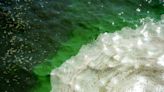 Lake Okeechobee discharges to Stuart suspended for second time for toxic algae