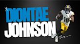 Panther Profile: WR Diontae Johnson's Stats, Info & Projected Role