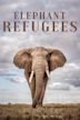 Elephant Refugees