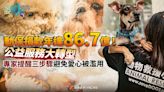 動保捐款年達86.7億！公益服務大轉型 專家提醒三步驟避免愛心被濫用