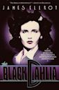 The Black Dahlia