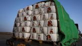 Aid trucks arrive in Gaza but no deliveries yet - sources