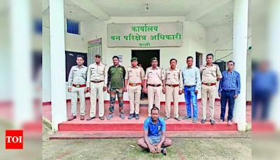 Main accused in wildlife poaching case arrested in Korba | Raipur News - Times of India