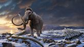 Científicos desarrollaron un teoría alternativa para expliar por qué se extinguieron los mamuts hace 10.000 años
