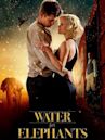 Water for Elephants (film)