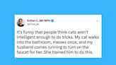 20 Of The Funniest Tweets About Cats And Dogs This Week (Jan. 21-27)