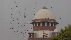 SC issues final notice to TN on illegal sand mining - News Today | First with the news