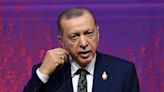 Erdogan says Turkey will launch Syria land operation when convenient