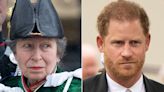 Princess Anne Questioned Wearing Hat That Blocked Prince Harry at Coronation: 'Not My Choice'