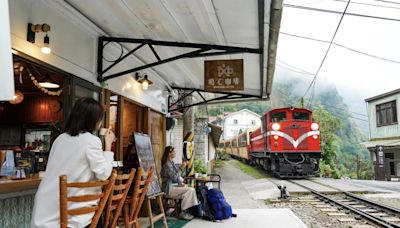 阿里山慢旅 山間下午茶紓壓