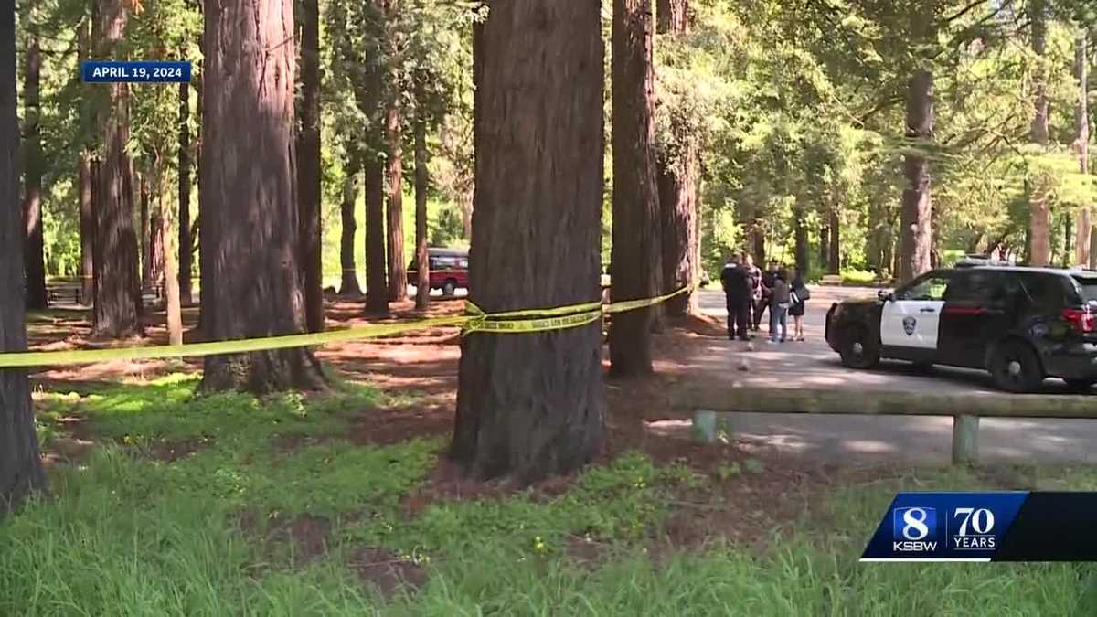 Man arrested for homicide after Santa Cruz park stabbing