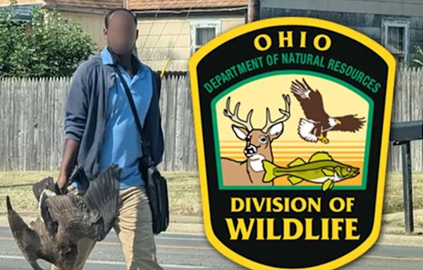 Ohio Wildlife Officials Give Context for Photo of Man Holding 2 Geese