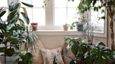 15 Feng Shui Plants to Bring Good Energy Into Your Home