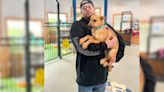 Rags to riches: Country music star’s tour bus driver adopts Upstate shelter dog