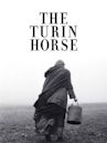 The Turin Horse