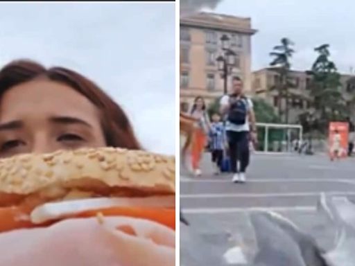 Seagulls Snatch Sandwich From Woman's Hand In This Terrifying Yet Hilarious Video - News18