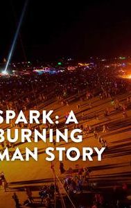 Spark: A Burning Man Story