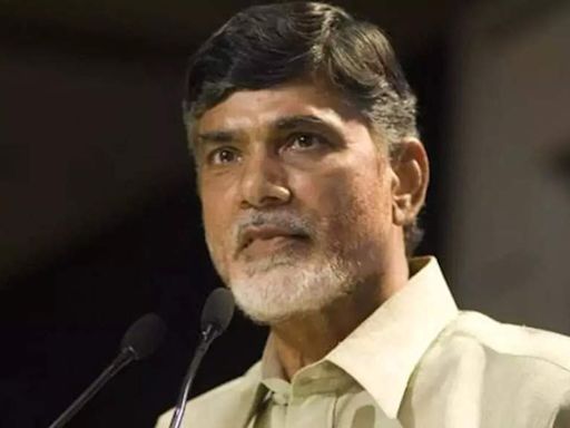 Andhra Inc stocks lap up coalition dhan - Times of India