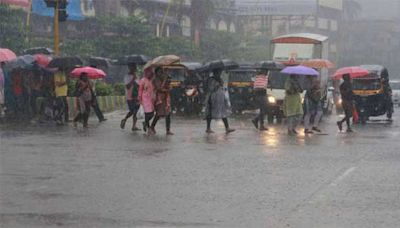 Kasargod: Holiday declared due to heavy rains for schools on July 19