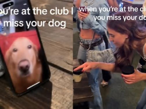 Se fue de viaje a Nashville, extrañó a su perro e hizo una videollamada desde discoteca para verlo