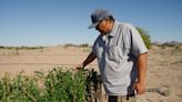 At the edge of Imperial County, the Quechan Tribe works to restore a parched river
