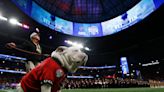 Retired UGA mascot Uga X, known as Que, dies