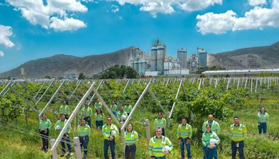 Logra Cemex meta ecológica fijada para el 2030