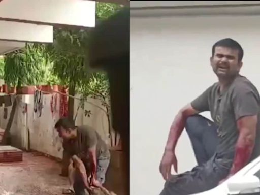 'Help Me': Delivery Man Attacked By 'Pet' Pitbull in Chhattisgarh's Raipur, Chilling Video Goes Viral - News18