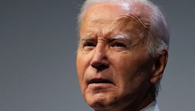 Joe Biden Says He Originally Intended To Be 'Transitional Candidate'