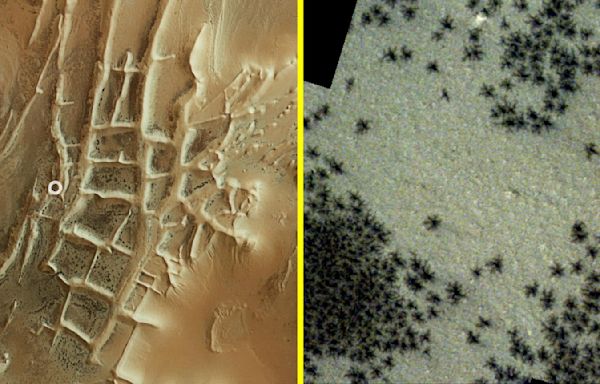 Hundreds of black 'spiders' spotted in mysterious 'Inca City' on Mars in new satellite photos