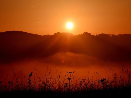 UK to experience first 29C heatwave this year as North African plume arrives