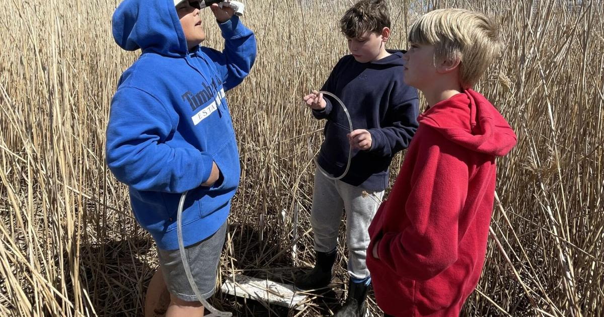 Essex Elementary students learn about watershed
