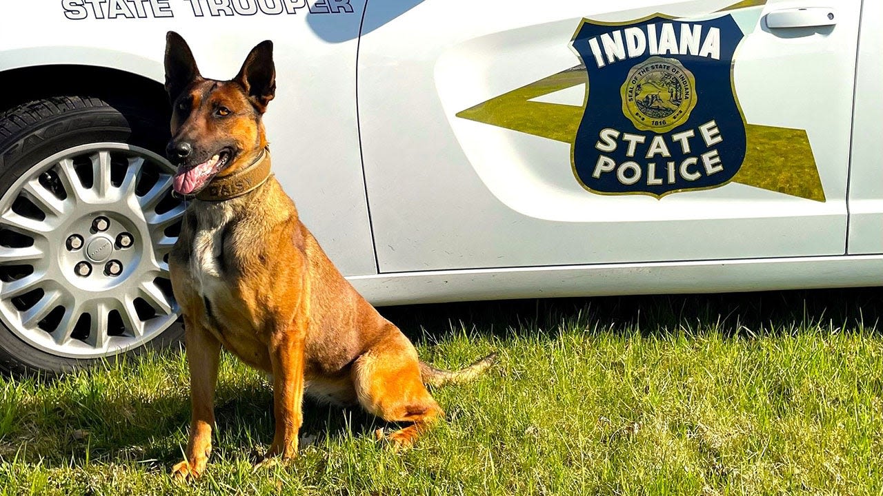 Indiana police dog to get vest in memory of Des Moines K-9