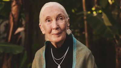 Jane Goodall's Brilliant Earth Jewelry Line Honors 'My Beloved Tanzania:' Inside the Icon's Collab