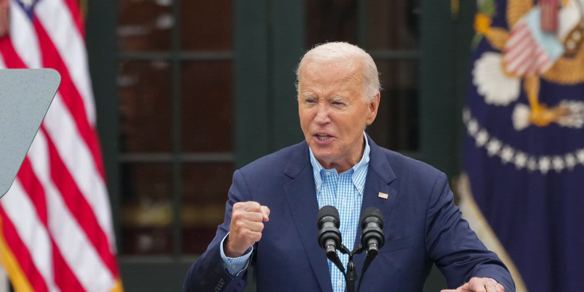 Joe Biden Dares Democratic Doubters To Challenge Him