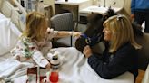 Hey, Willie Nelson: Therapy pony named after you wants to team up to visit patients