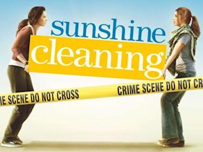 Sunshine Cleaning