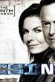 CSI: NY season 9