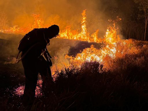 Brasil registra un récord de incendios forestales entre enero y abril