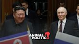 Putin visita a Corea del Norte para reforzar cooperación militar