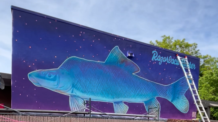 New mural painted in Moab as part of ongoing project to celebrate Utah wildlife