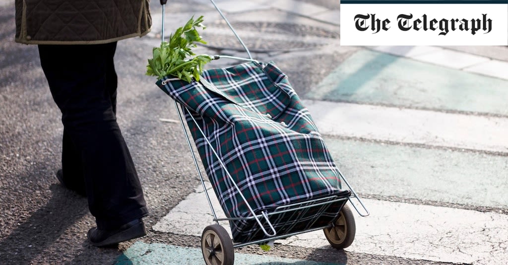 Struggling home uphill, I’ve been left with one humiliating option – the shopping trolley