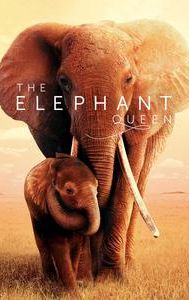 The Elephant Queen