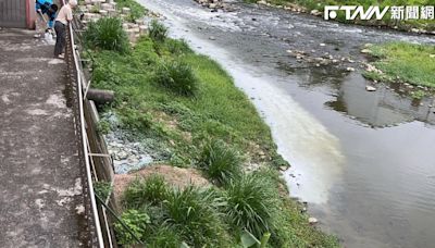 是哪家廠商？新竹市客雅溪竟成「牛奶河」 元凶找到了！