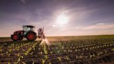El próximo ministro de Agricultura de México reafirma la prohibición del maíz transgénico